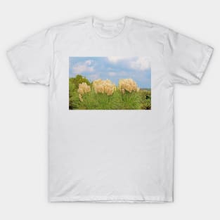 Pampas Grass T-Shirt